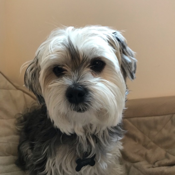 Meet your Posher, Jennifer - Picture 3 of 5